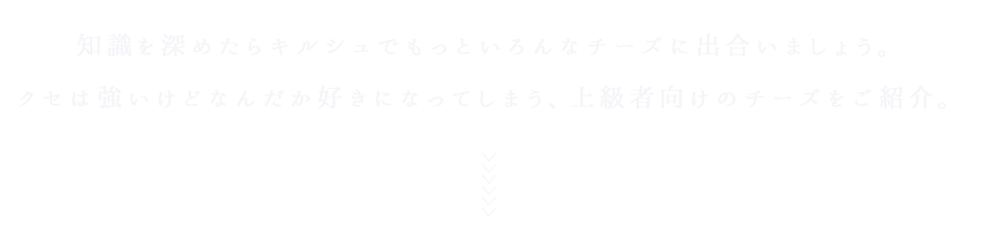 チーズをご紹介