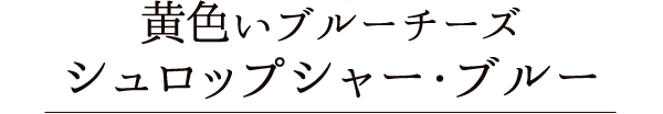 黄色いブルーチーズシュロップシャー・ブルー