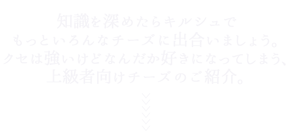 ちょっとした変わり者（チーズ）中級